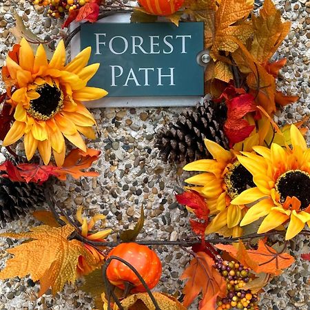 Forest Path Luxury Studio Apartment With Large Bedroom Bathroom And Sauna Sleeps Up To 4 Ballynahinch Esterno foto