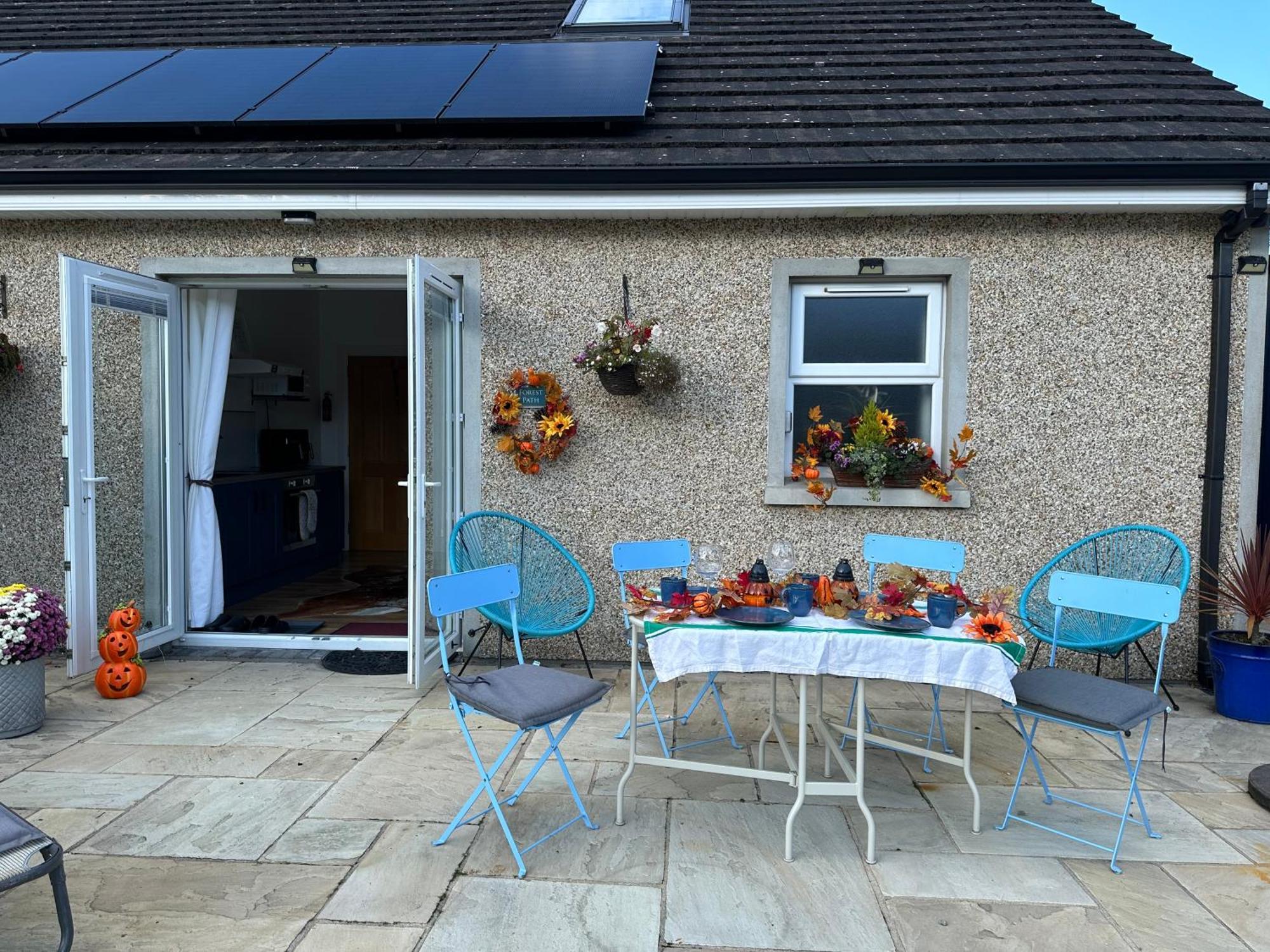 Forest Path Luxury Studio Apartment With Large Bedroom Bathroom And Sauna Sleeps Up To 4 Ballynahinch Esterno foto