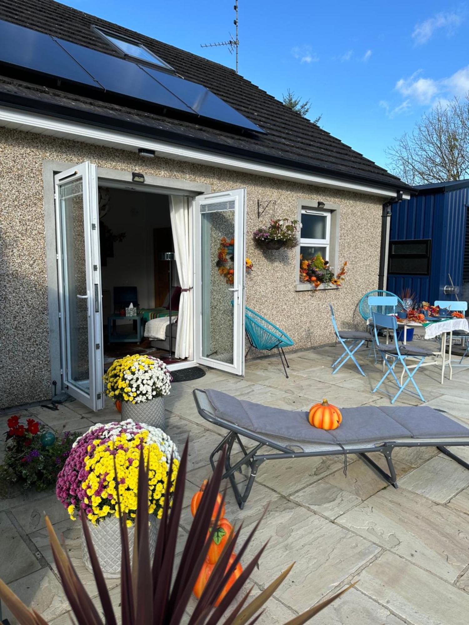 Forest Path Luxury Studio Apartment With Large Bedroom Bathroom And Sauna Sleeps Up To 4 Ballynahinch Esterno foto