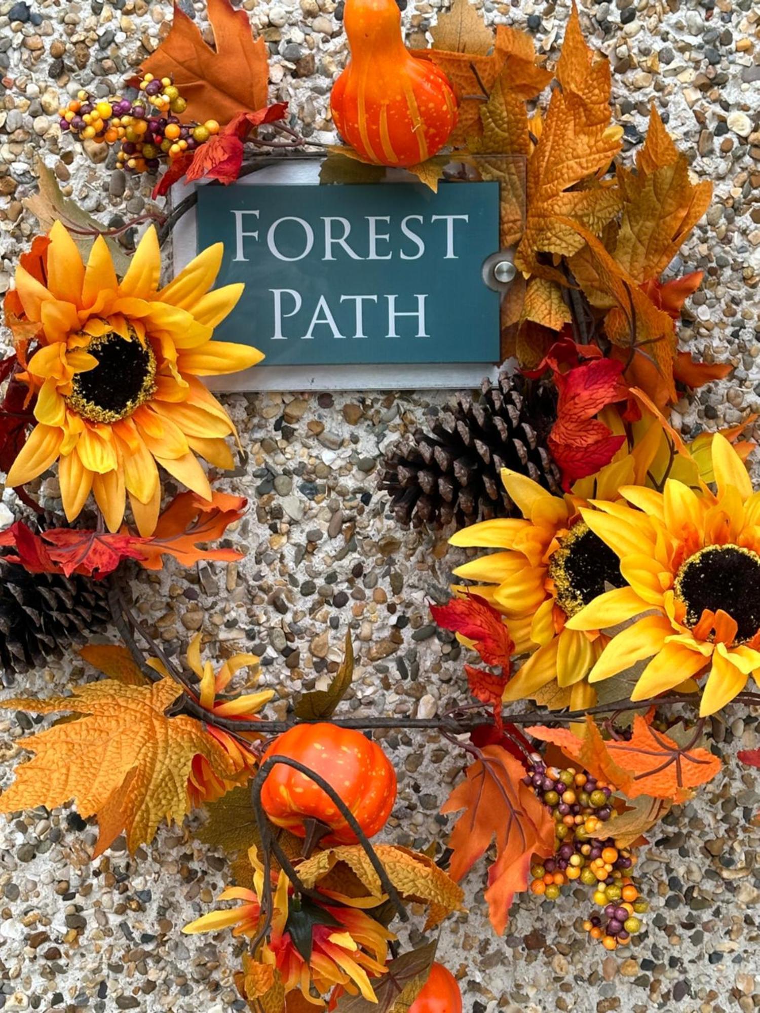 Forest Path Luxury Studio Apartment With Large Bedroom Bathroom And Sauna Sleeps Up To 4 Ballynahinch Esterno foto