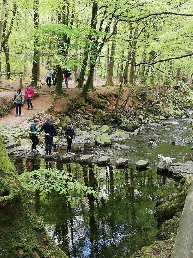 Forest Path Luxury Studio Apartment With Large Bedroom Bathroom And Sauna Sleeps Up To 4 Ballynahinch Esterno foto